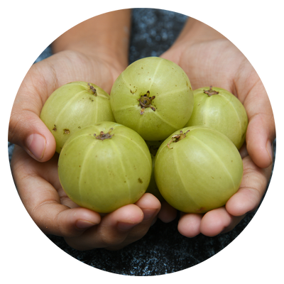 Amla