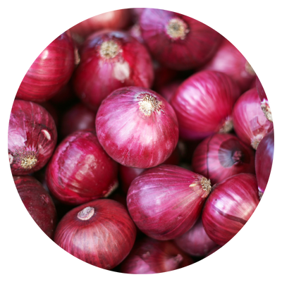 Onion