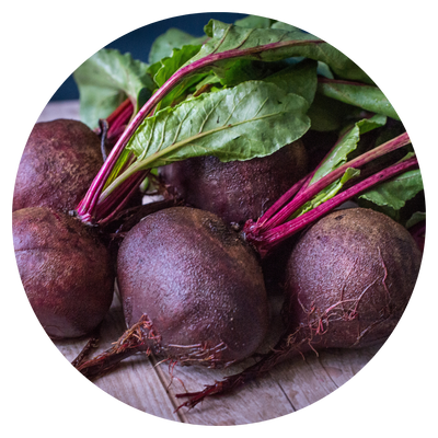 Beet Root